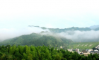 “抹茶全產(chǎn)業(yè)鏈關(guān)鍵技術(shù)與裝備創(chuàng)新及應(yīng)用”項(xiàng)目科技成果評價(jià)會(huì)召開