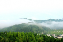 “抹茶全產(chǎn)業(yè)鏈關(guān)鍵技術(shù)與裝備創(chuàng)新及應(yīng)用”項(xiàng)目科技成果評價(jià)會(huì)召開